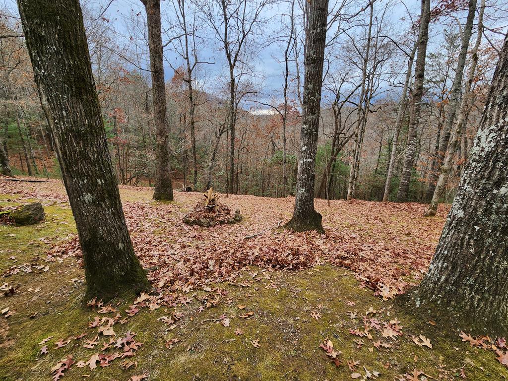215 Tara Hill Road