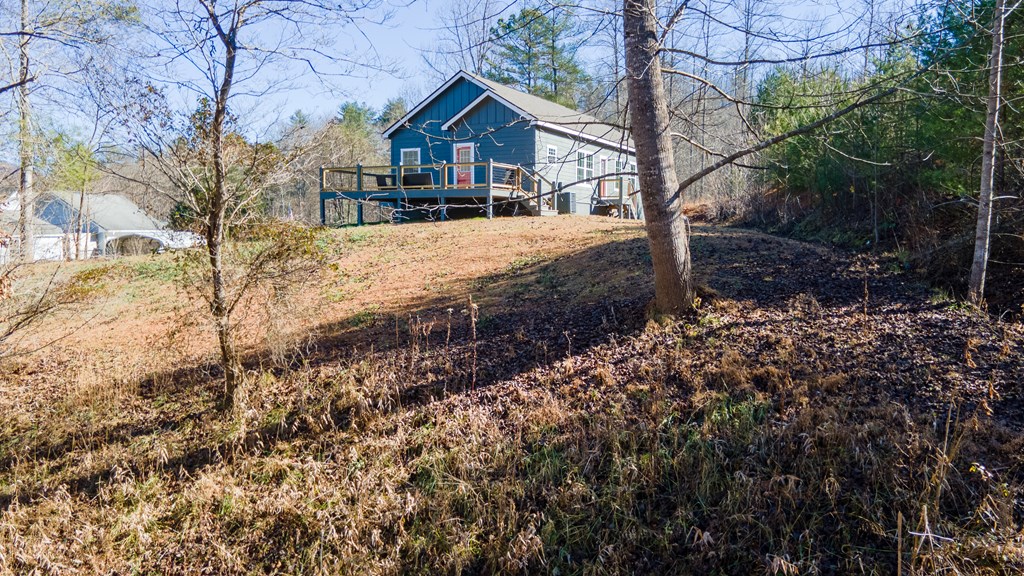 135 Dolly Cowart Ln