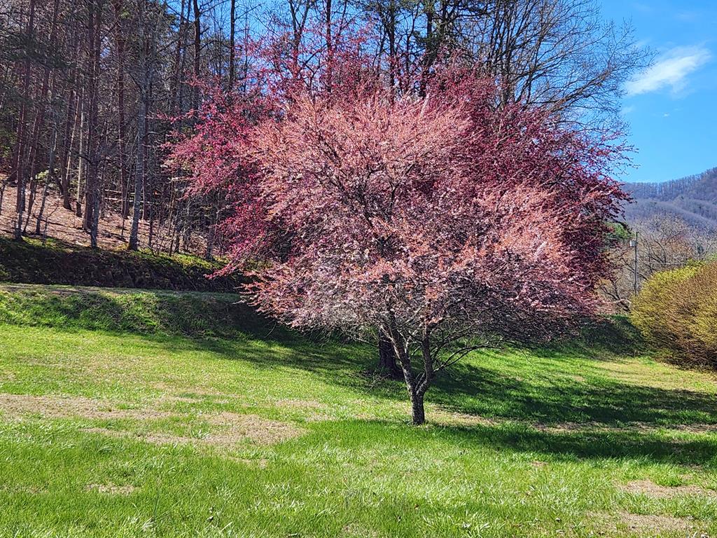 99 Trimont Lake Rd