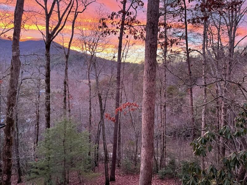 103 Sunset Trace Trail