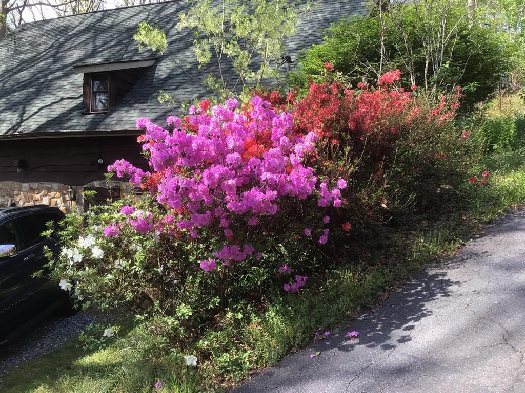 103 Sunset Trace Trail