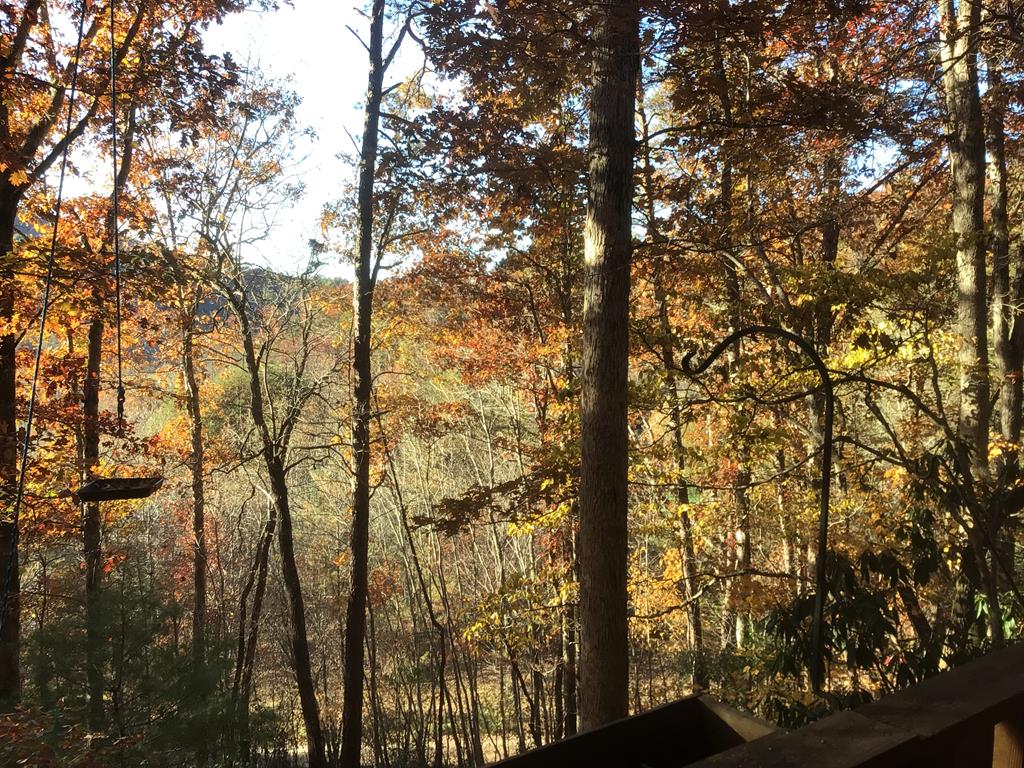 103 Sunset Trace Trail