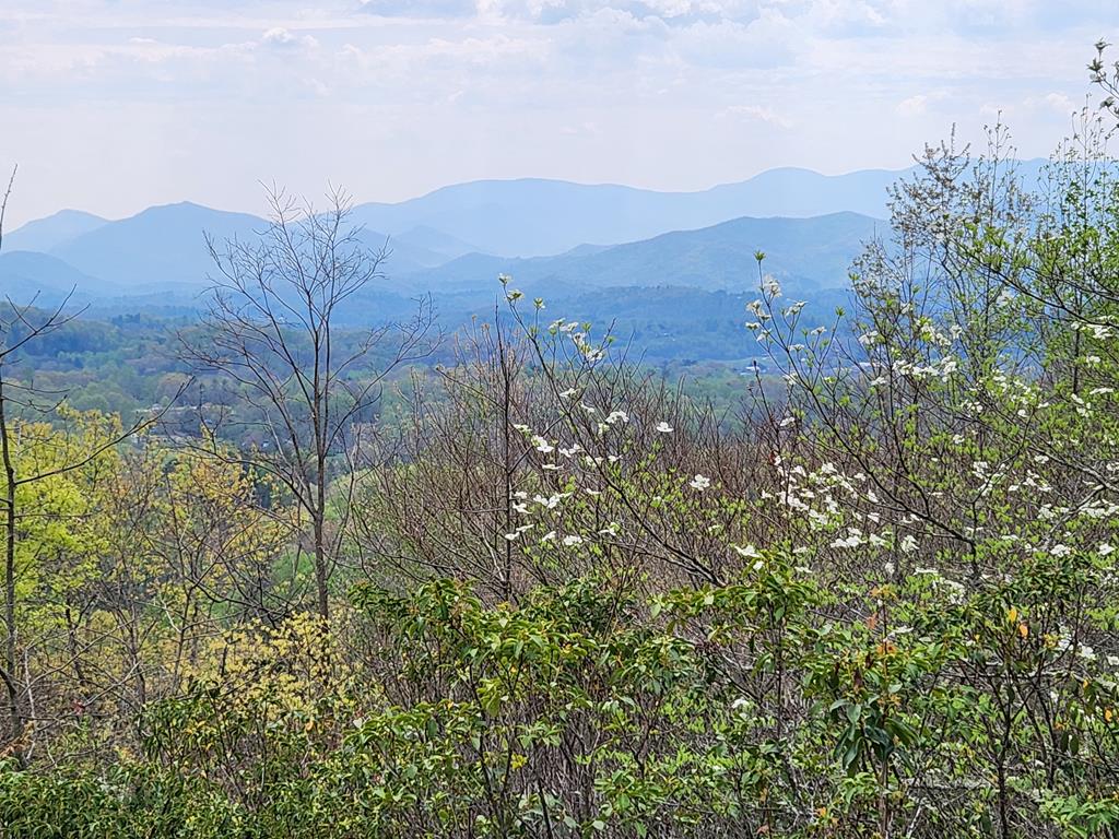 331 Wooten Ridge Rd