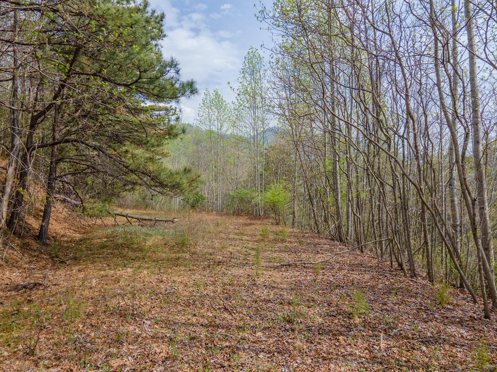 331 Wooten Ridge Rd