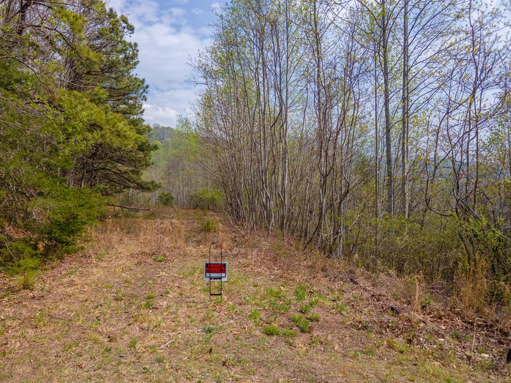 331 Wooten Ridge Rd