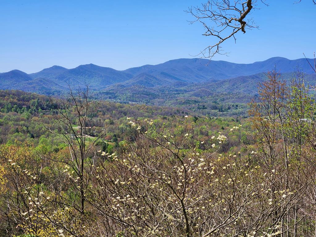 331 Wooten Ridge Rd