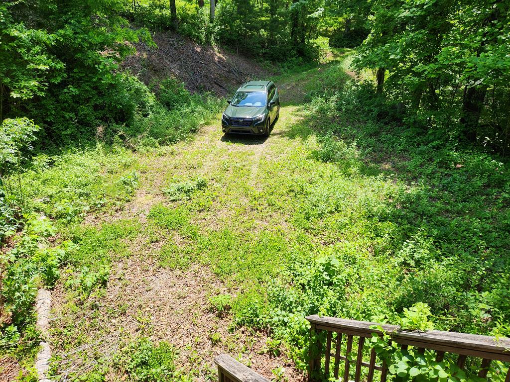 389 Lilly Lane