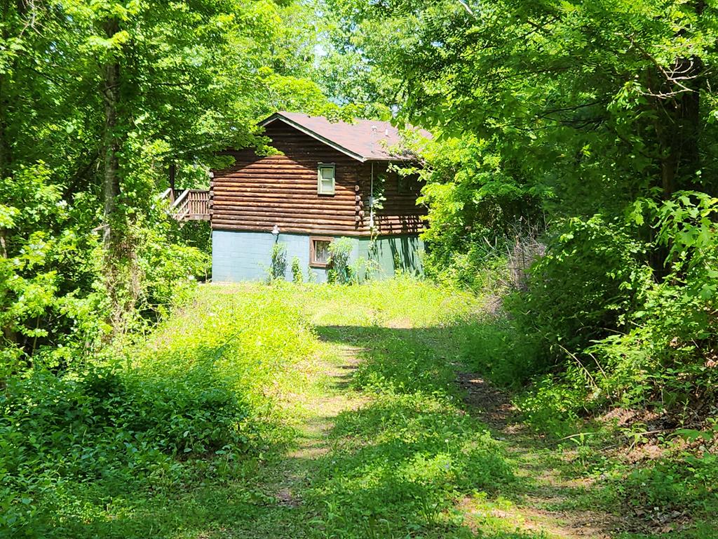 389 Lilly Lane