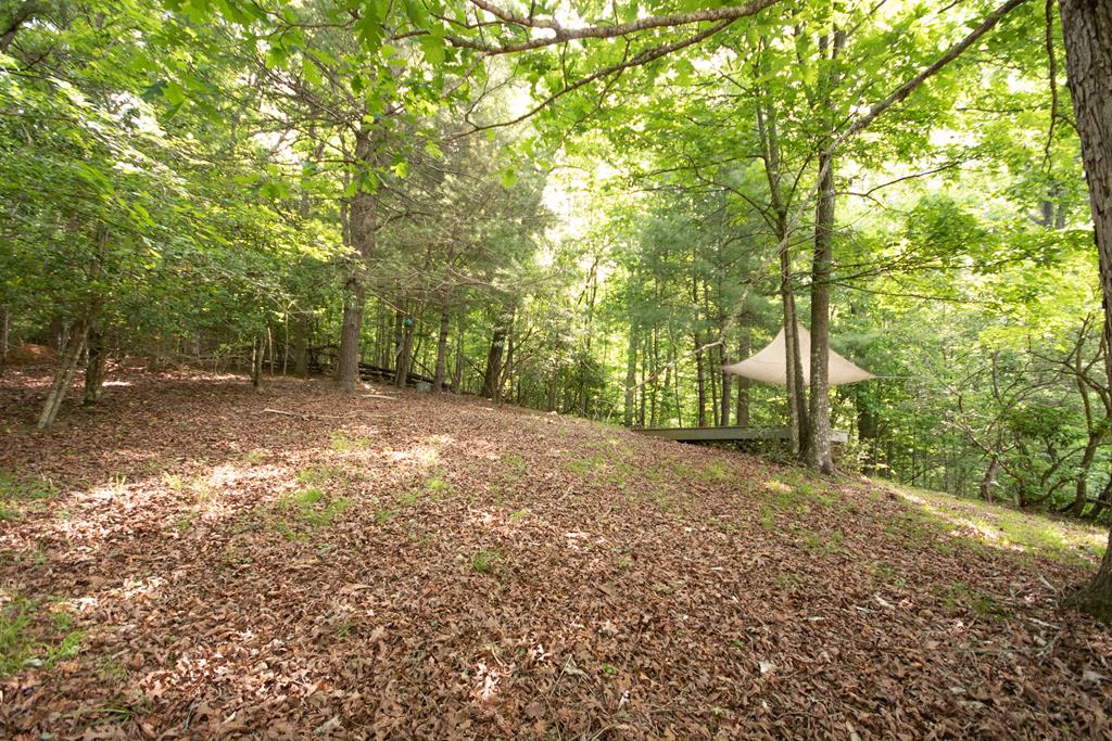 202 Chickadee Trail