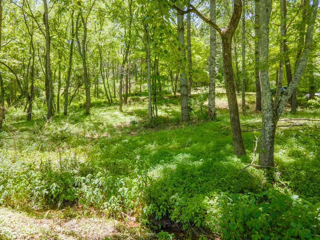 181 Wild Pear Lane