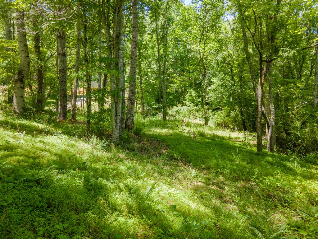 181 Wild Pear Lane