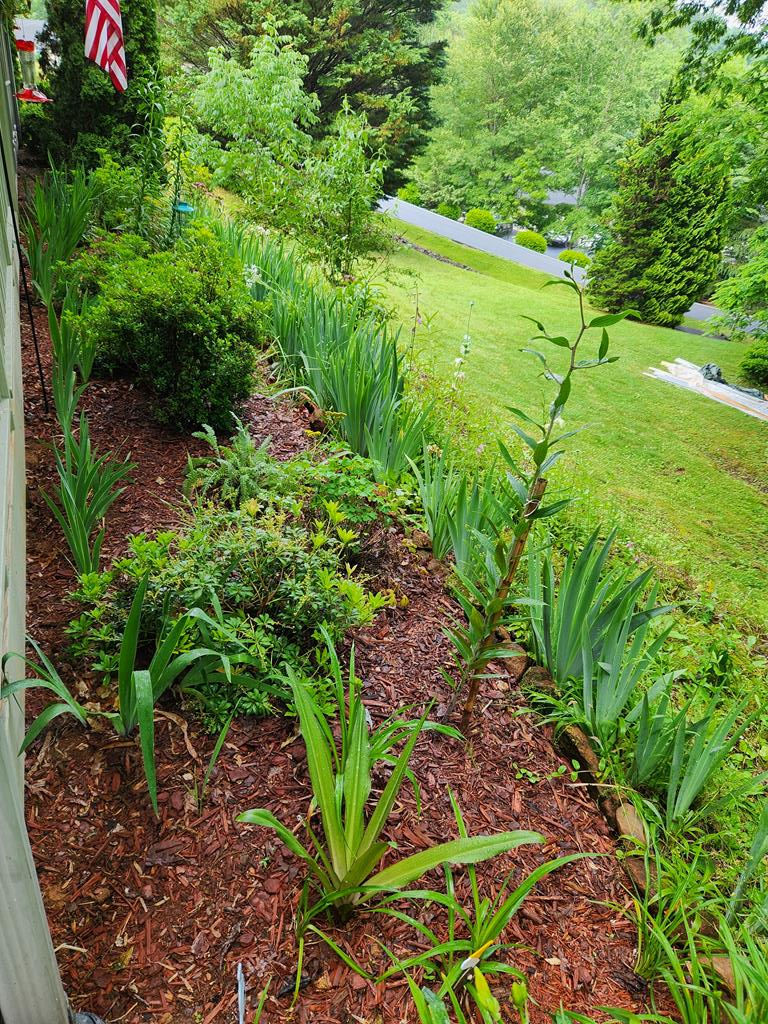 594B Oak Creek Rd