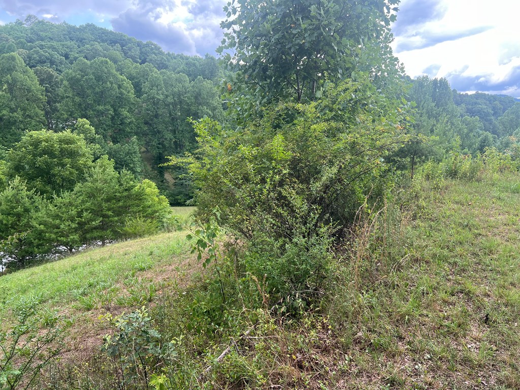00 Brookstone Mountain Trail