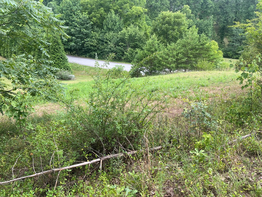 00 Brookstone Mountain Trail