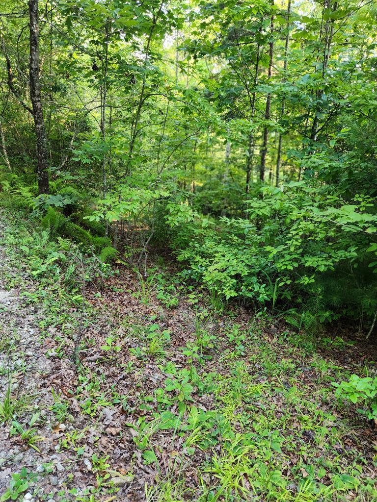 Lot 27 Cherokee Landing