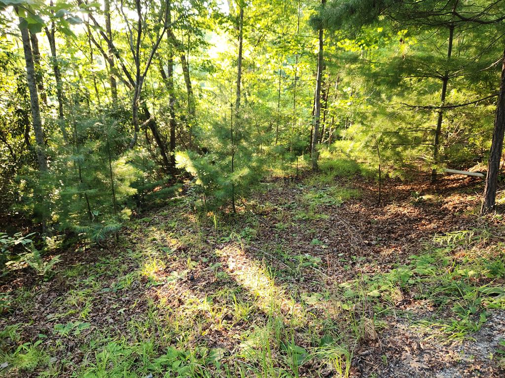 Lot 27 Cherokee Landing