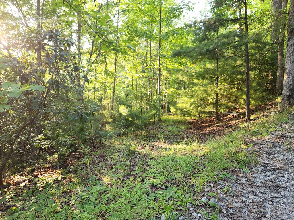 Lot 27 Cherokee Landing
