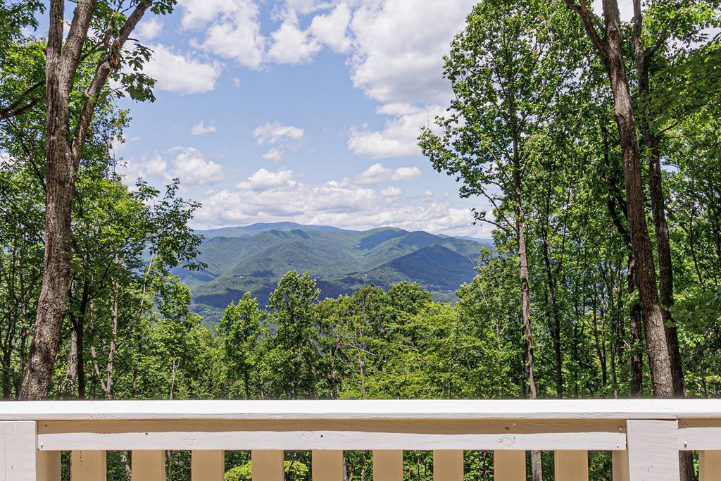 678 Amelia's Bluff