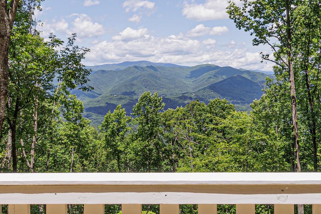678 Amelia's Bluff