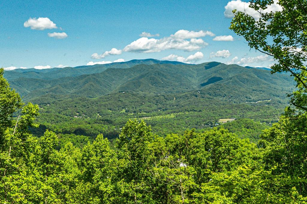 678 Amelia's Bluff