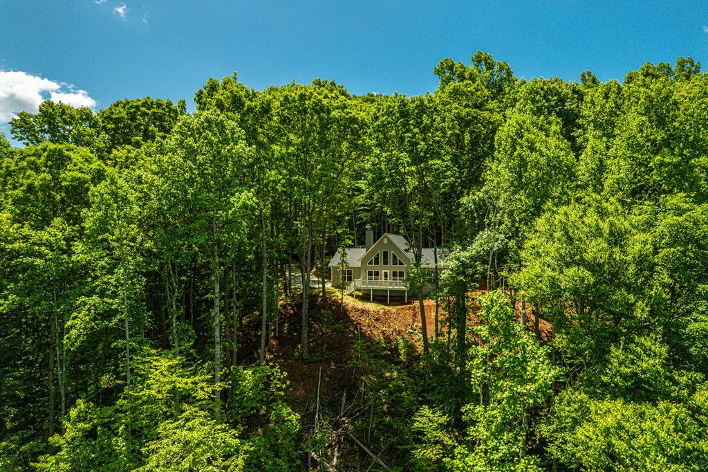 678 Amelia's Bluff