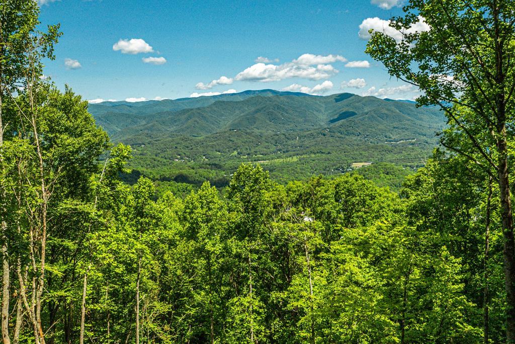 678 Amelia's Bluff