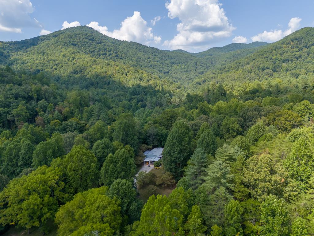 94 Shady Creek Trail