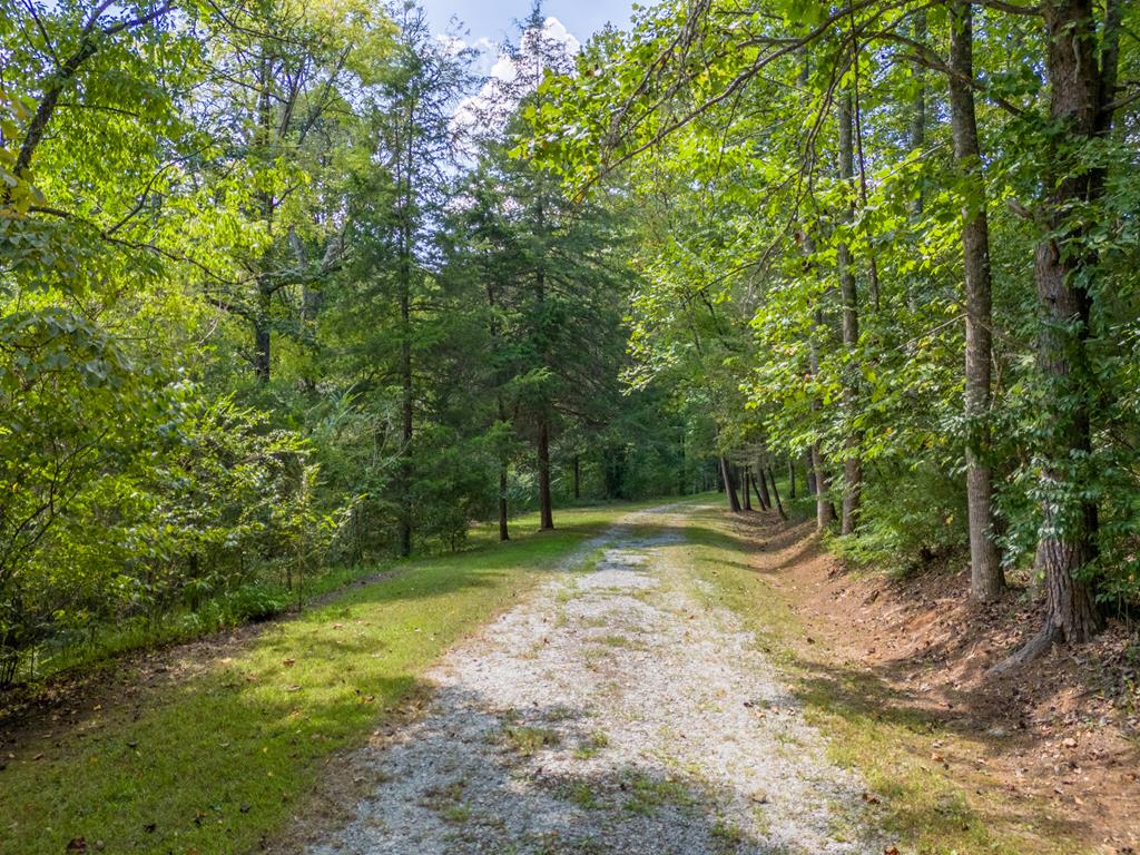 94 Shady Creek Trail