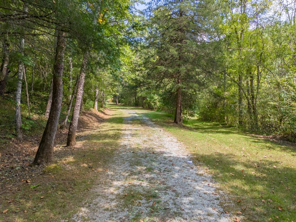 94 Shady Creek Trail