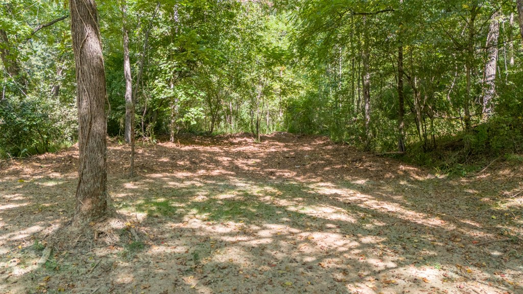 162 Fox Ridge Rd
