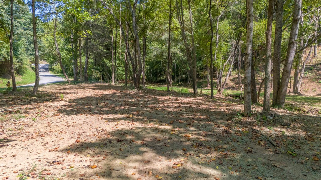 162 Fox Ridge Rd