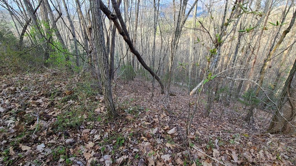 Lot 20 Holly Springs Mountain Estates