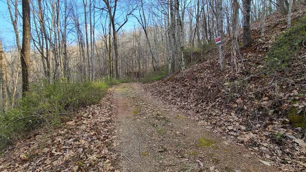 Lot 20 Holly Springs Mountain Estates