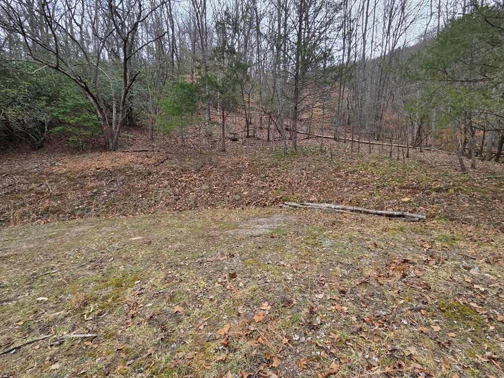 Lot 34 Brookstone Mountain Trail