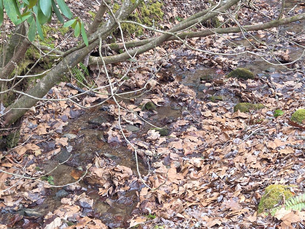 Lot 34 Brookstone Mountain Trail