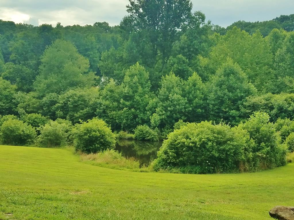 Lot 34 Brookstone Mountain Trail