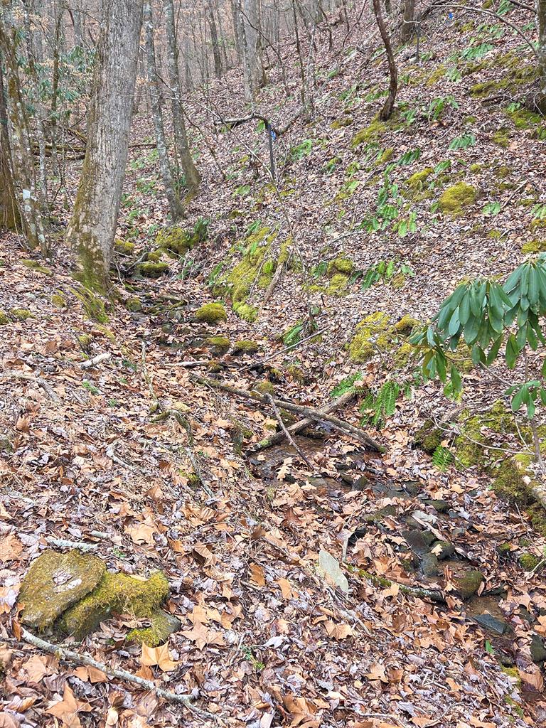 Lot 34 Brookstone Mountain Trail