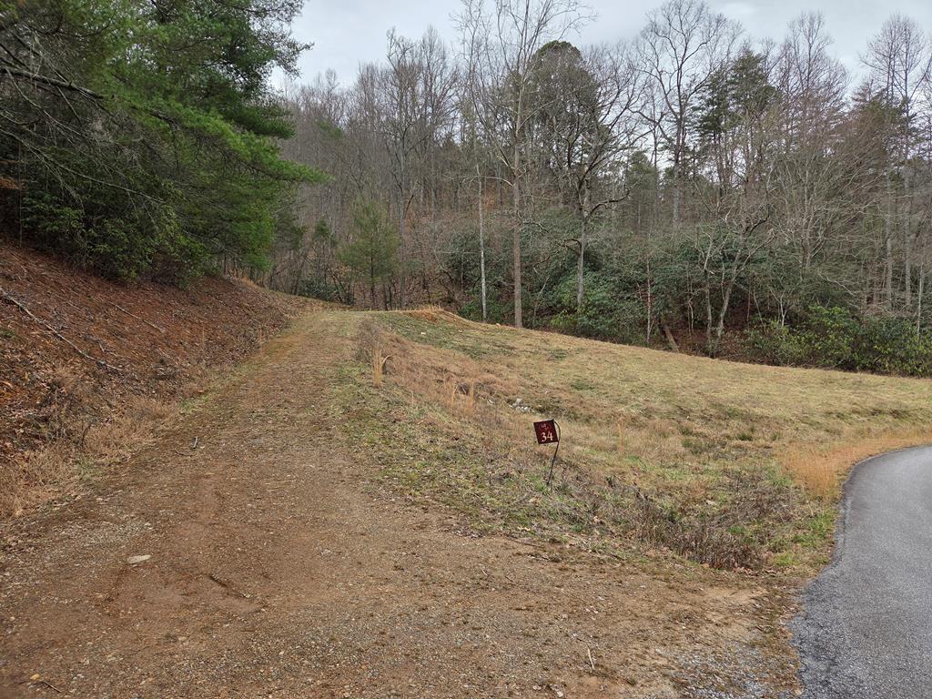 Lot 34 Brookstone Mountain Trail