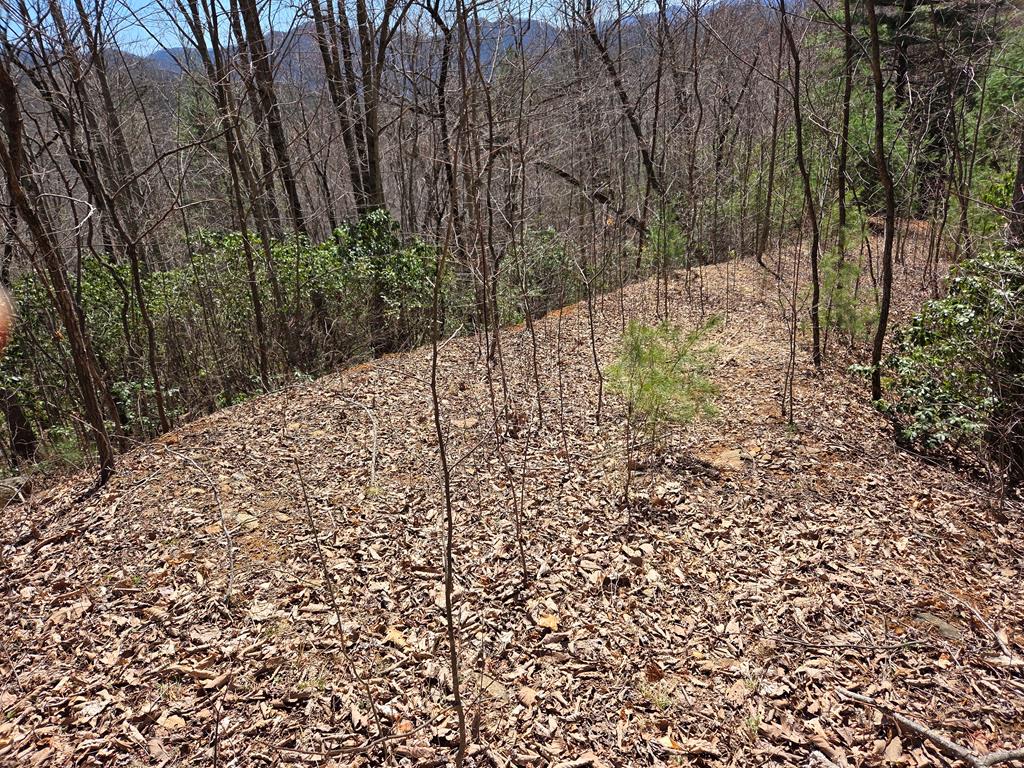Lot 15 The Sanctuary At Mountain Grove