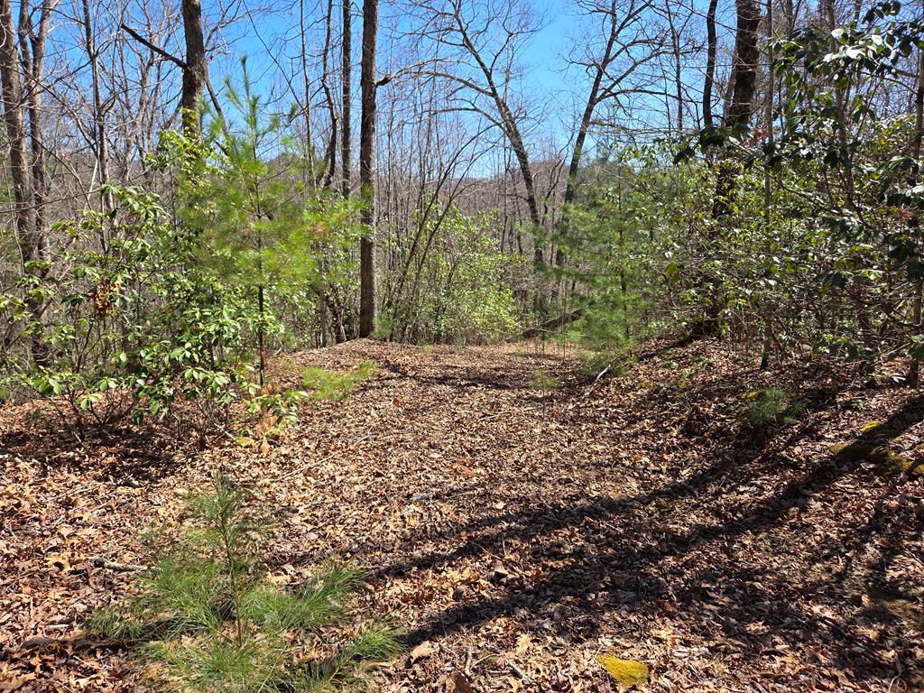 Lot 15 The Sanctuary At Mountain Grove