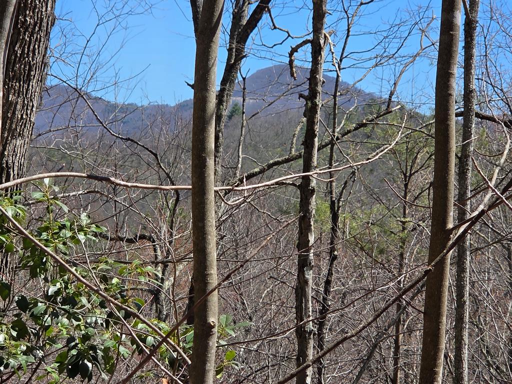 Lot 15 The Sanctuary At Mountain Grove