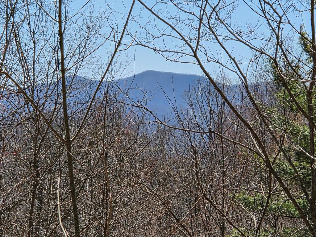 Lot 15 The Sanctuary At Mountain Grove