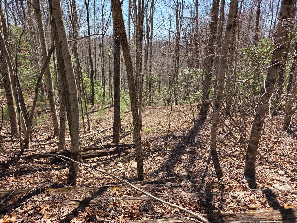 Lot 15 The Sanctuary At Mountain Grove