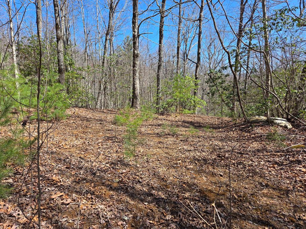 Lot 15 The Sanctuary At Mountain Grove