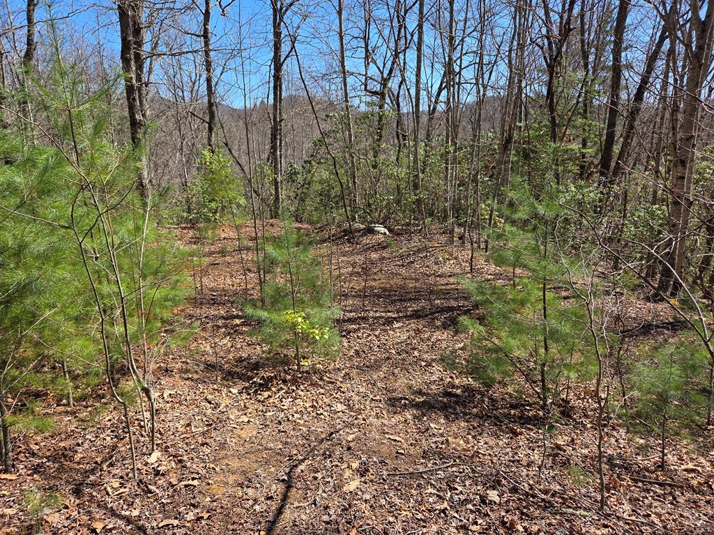 Lot 15 The Sanctuary At Mountain Grove