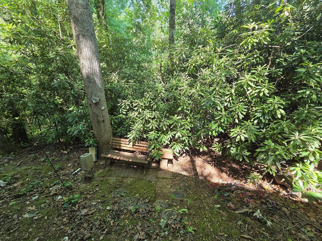 198 Old Dogwood Dr