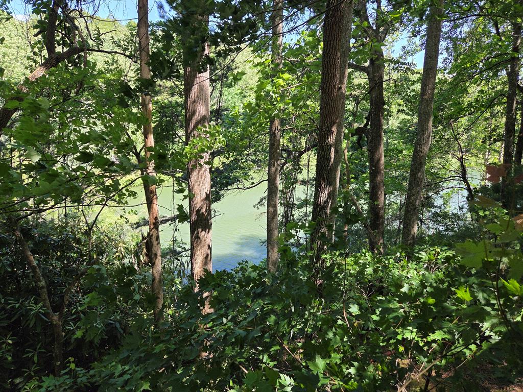 198 Old Dogwood Dr