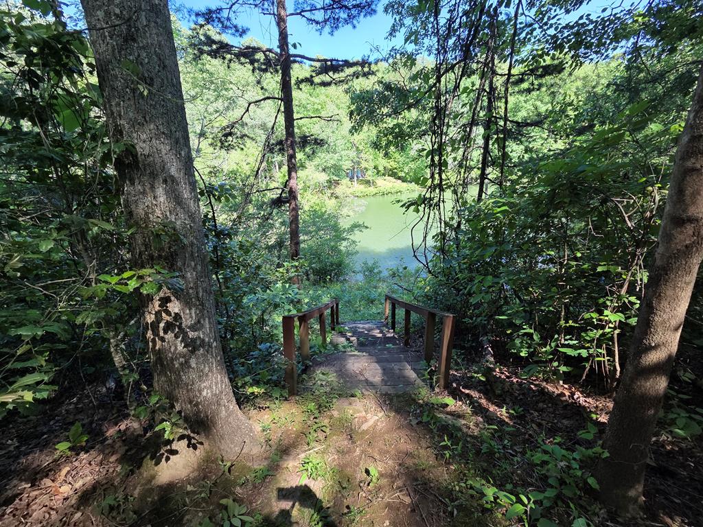 198 Old Dogwood Dr