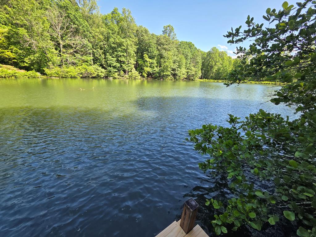198 Old Dogwood Dr