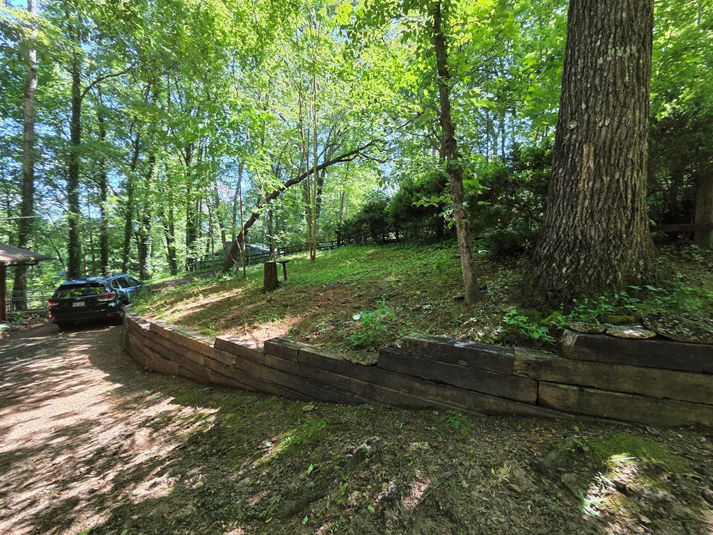 198 Old Dogwood Dr